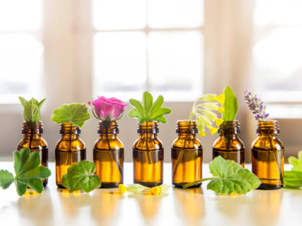 INCENT OIL