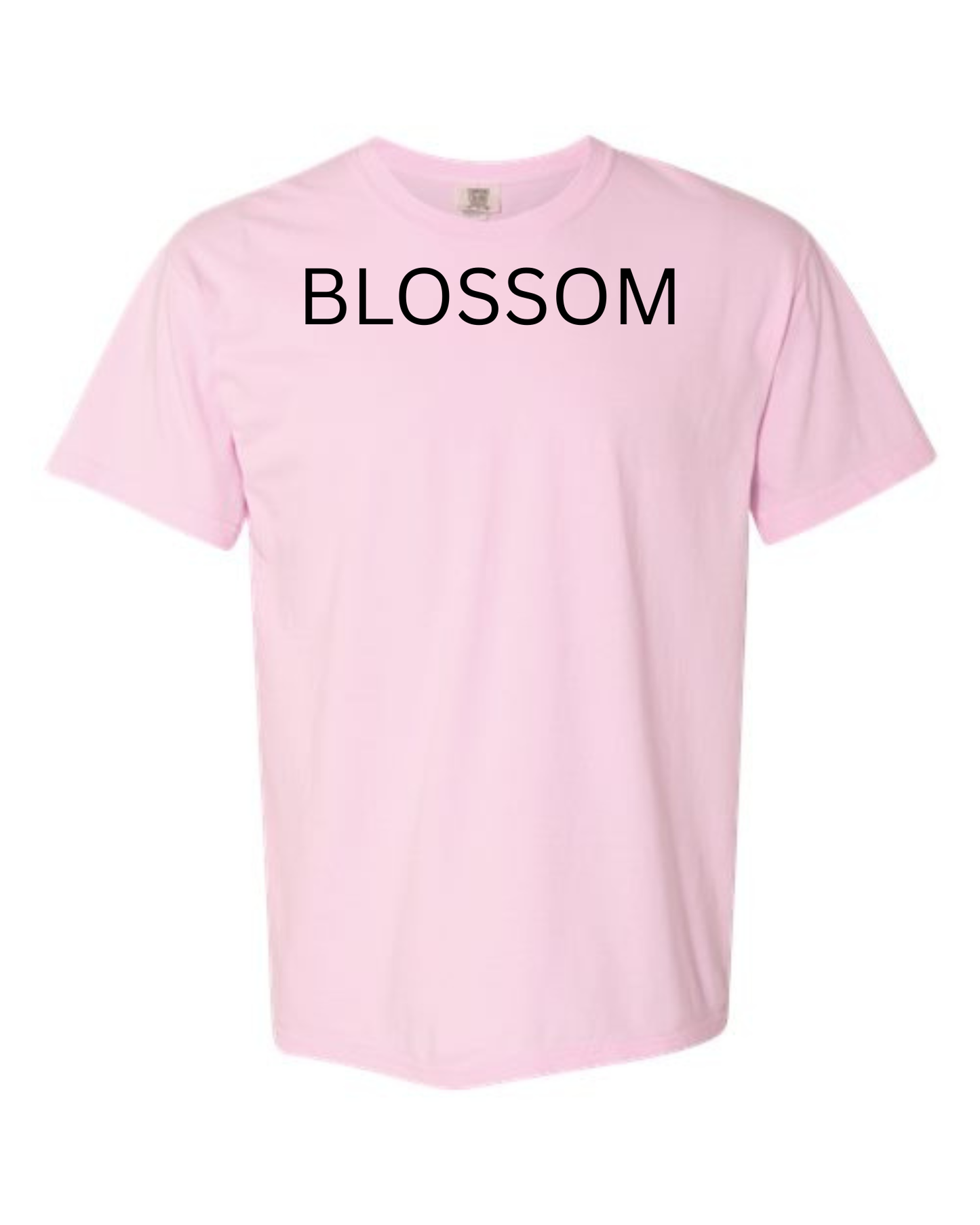 Comfort Color Short Sleeve Shirt
